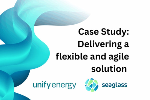 Providing a flexible and agile solution for an innovative supplier