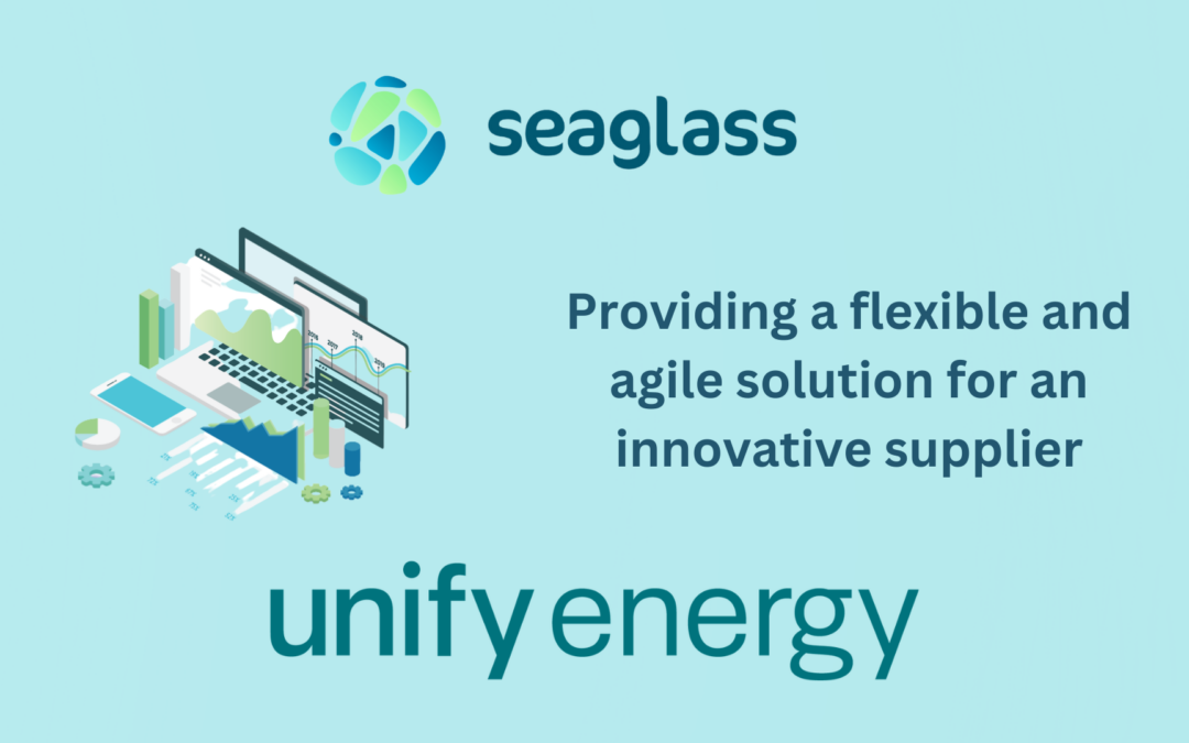 Providing a flexible and agile solution for an innovative supplier