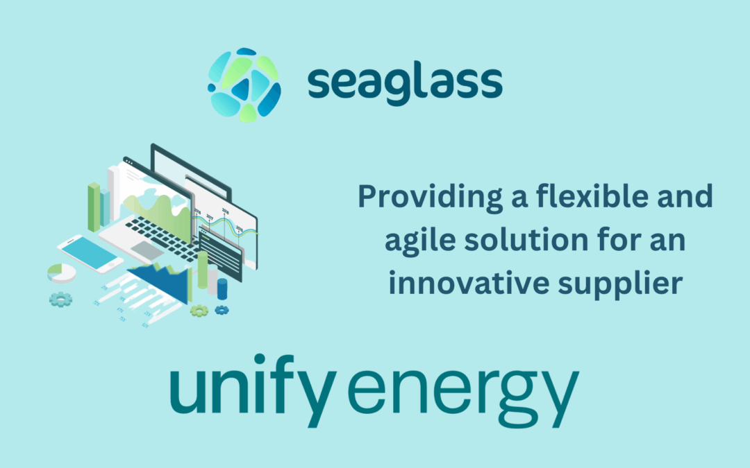 Providing a flexible and agile solution for an innovative supplier