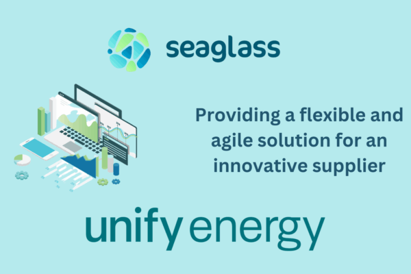 Providing a flexible and agile solution for an innovative supplier