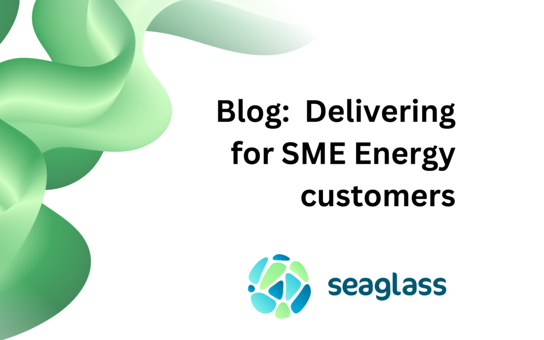 Delivering for SME energy customers – managing high volume and high complexity deal flows