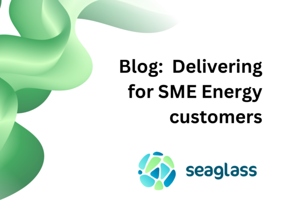 Delivering for SME energy customers – managing high volume and high complexity deal flows